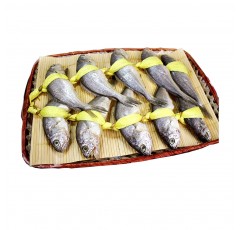 정성1호(21~23cm±1cm)10미