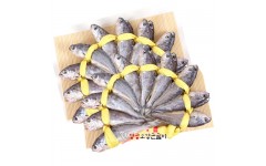 장대3호(19~20cm±1cm) 세트 40미