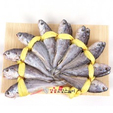 특장대2호(21~23cm±1cm)20미