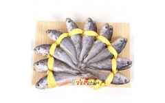 특장대3호(22~23cm±1cm)20미