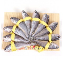 특장대3호(22~23cm±1cm)20미