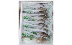 찐 보리굴비 부세 특大 10미 (30cm내외, 개별 진공포장)