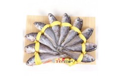 장대2호(18~19cm±1cm) 20미